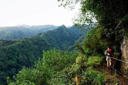 20090928173148-excursio-levada.jpg