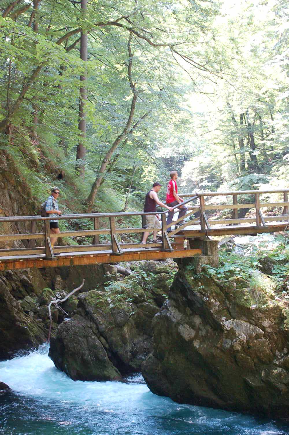 20091008101055-foto-vintgar-gorge.jpg