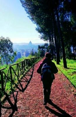 20091024110546-romapiedi.jpg