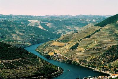 20120101153931-region-douro.jpg